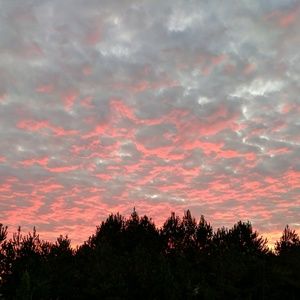 Meet your Posher, Daryl